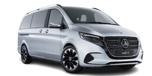 v class